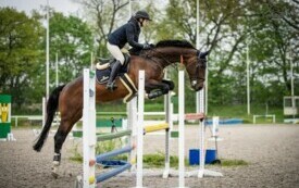 952f68cf-bdba-4c67-b05e-953cf37f3d37