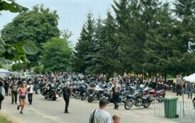 luzne_tloki_2024_3