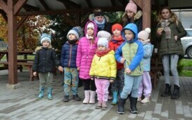 Droga &bdquo; kasztanowa&rdquo; w Stajkowie 