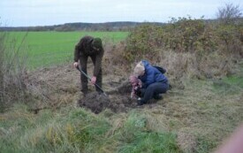 Droga &bdquo; kasztanowa&rdquo; w Stajkowie 