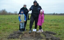 Droga &bdquo; kasztanowa&rdquo; w Stajkowie 