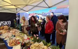 Gmina Lubasz na Agrotargach w Czarnkowie 10