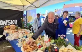 Gmina Lubasz na Agrotargach w Czarnkowie 9