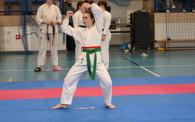 Turniej_karate_32