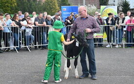 Agrotargi_26