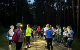 Nocny_kwiat_paproci_8
