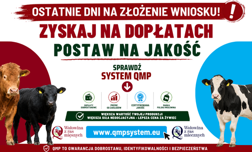 Zdjęcie do Dodatkowe wsparcie dla hodowc&oacute;w bydła
